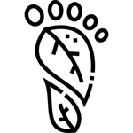 Carbon footprint awareness Carbon footprint awareness