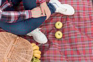 picnic blanket